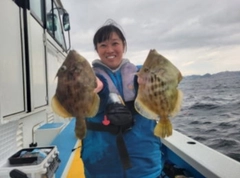 カワハギの釣果
