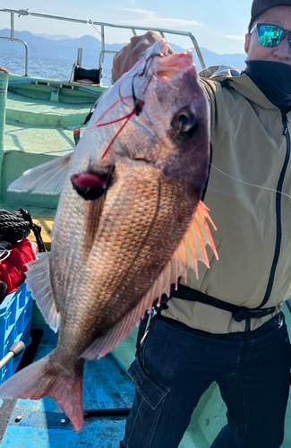 タイの釣果