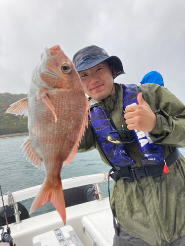 マダイの釣果