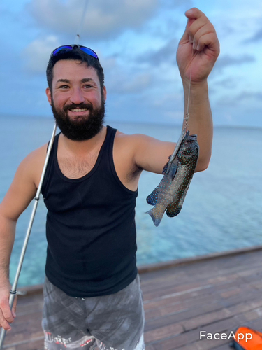 アオノメハタの釣果