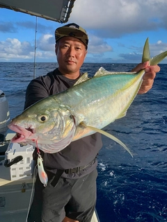 シマアジの釣果