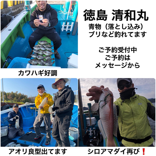 カワハギの釣果