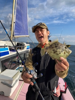 カワハギの釣果