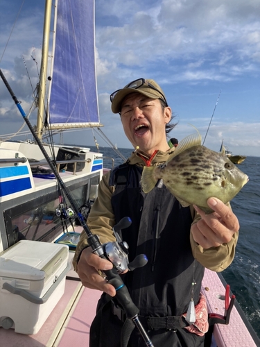 カワハギの釣果