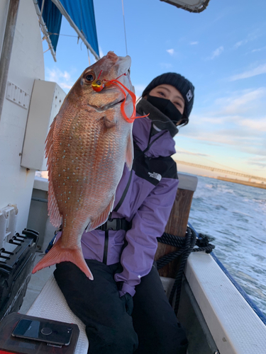 マダイの釣果