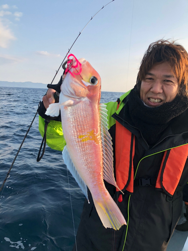 アマダイの釣果