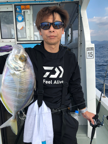 カイワリの釣果