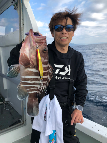 マハタの釣果