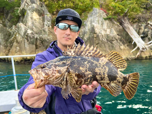 ベッコウゾイの釣果