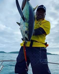 キハダマグロの釣果