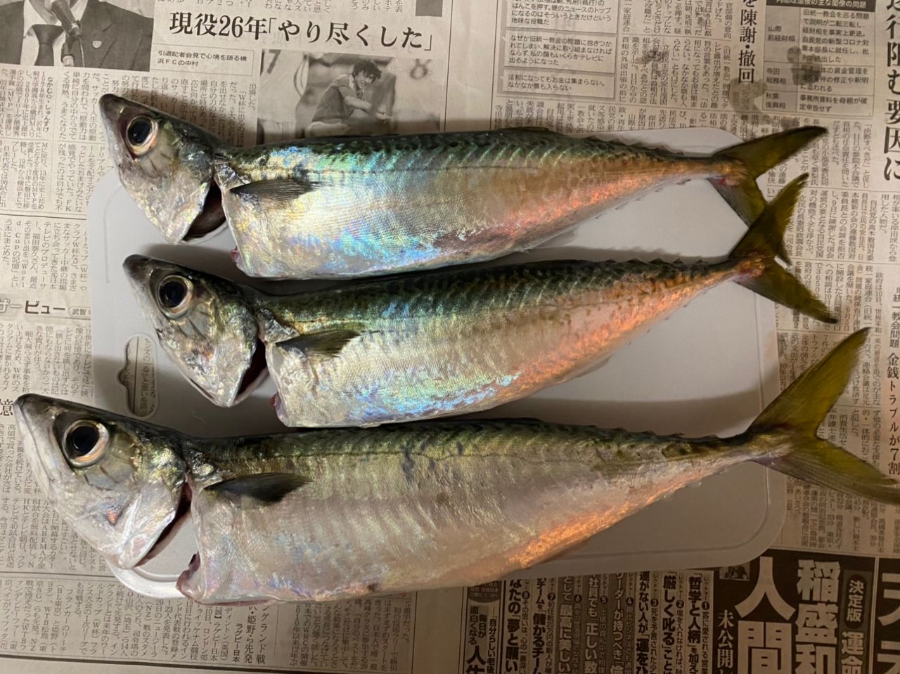 サバ