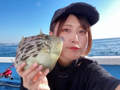 カワハギの釣果