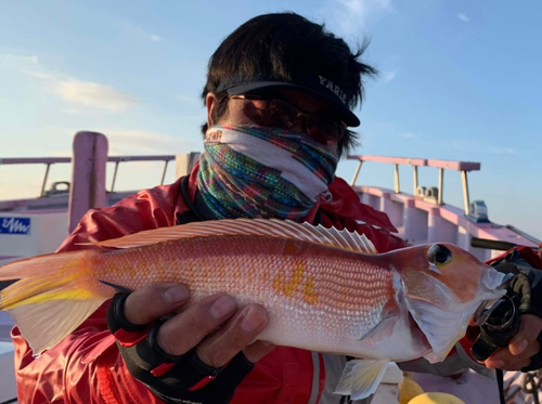 アマダイの釣果