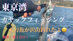 タチウオの釣果