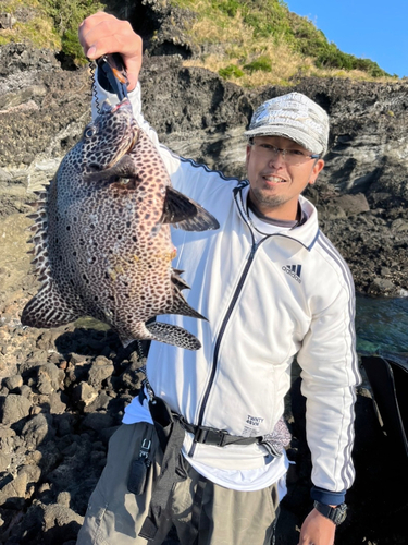 イシガキダイの釣果