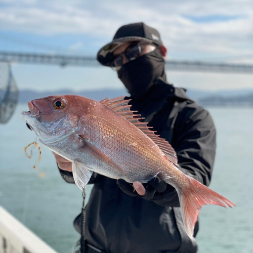 タイの釣果