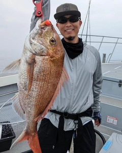 タイの釣果