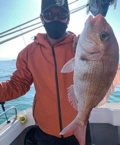 タイの釣果