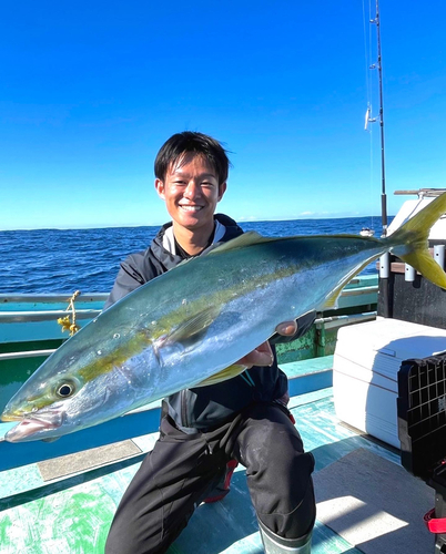 ワラサの釣果