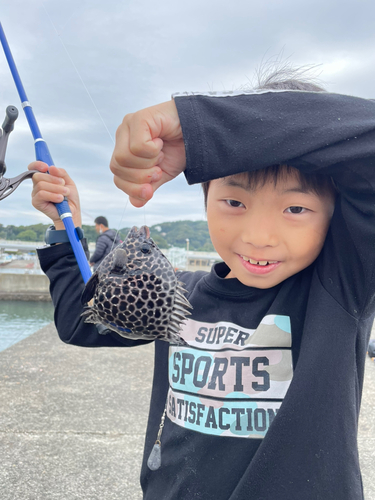 イシガキダイの釣果