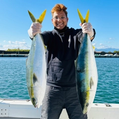 ブリの釣果