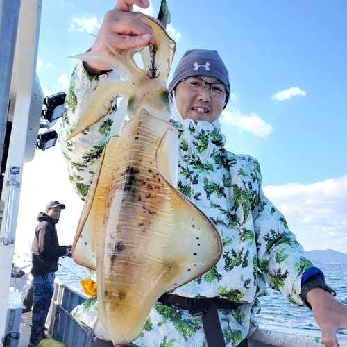 アオリイカの釣果