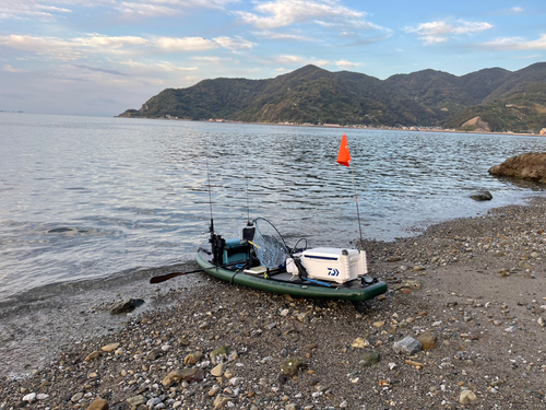 シロアマダイの釣果