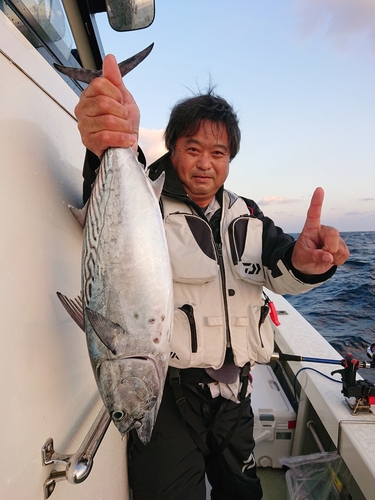 カツオの釣果