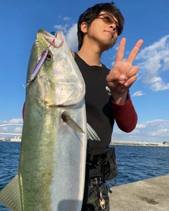 メジロの釣果