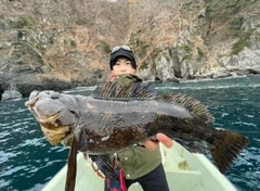 アイナメの釣果