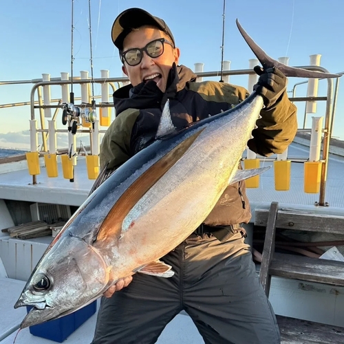 ビンチョウマグロの釣果