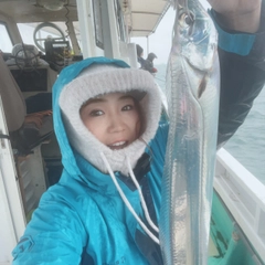 タチウオの釣果