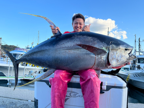 キハダマグロの釣果