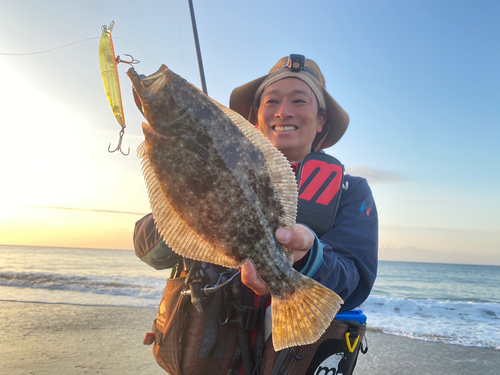 ヒラメの釣果