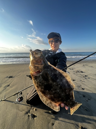 ヒラメの釣果