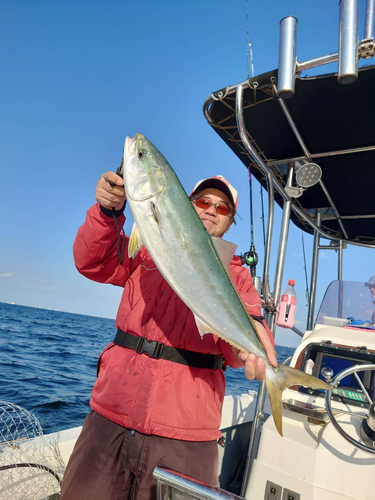 ワラサの釣果