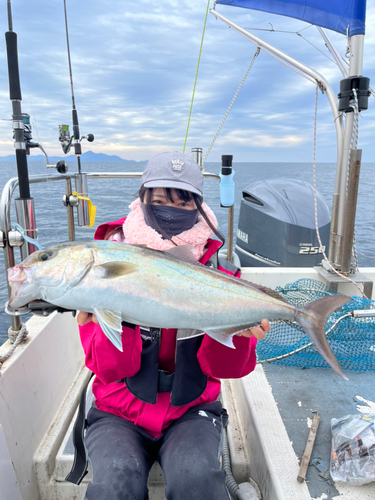 カンパチの釣果