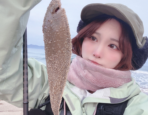 シタビラメの釣果