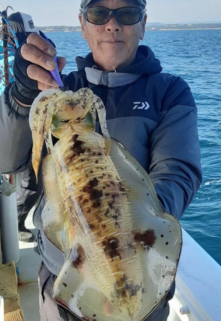 烏賊狩師さんの釣果 2枚目の画像