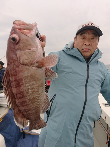 マハタの釣果