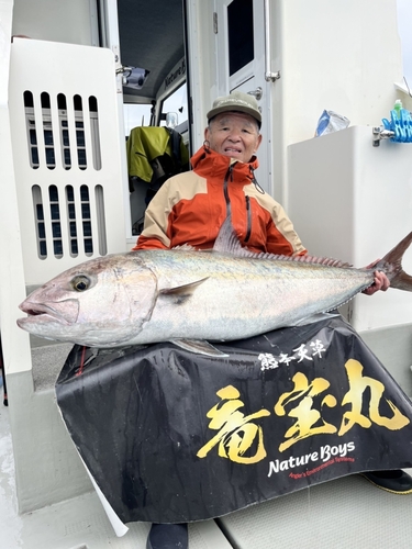 カンパチの釣果