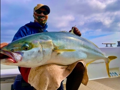 ヒラマサの釣果