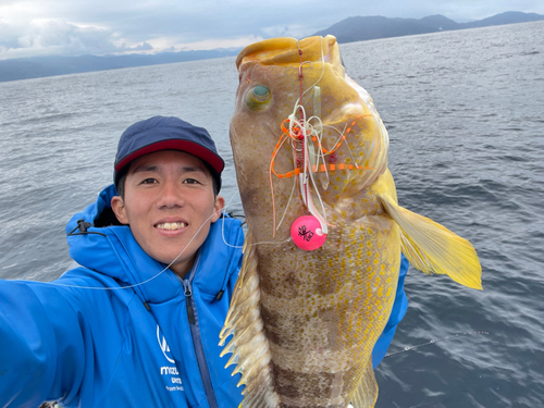 アオハタの釣果