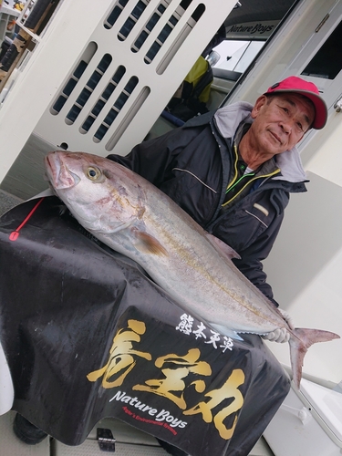 カンパチの釣果