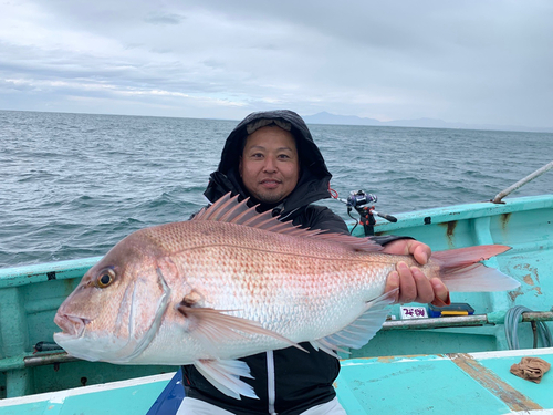 マダイの釣果