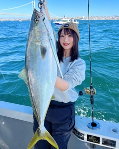 ブリの釣果