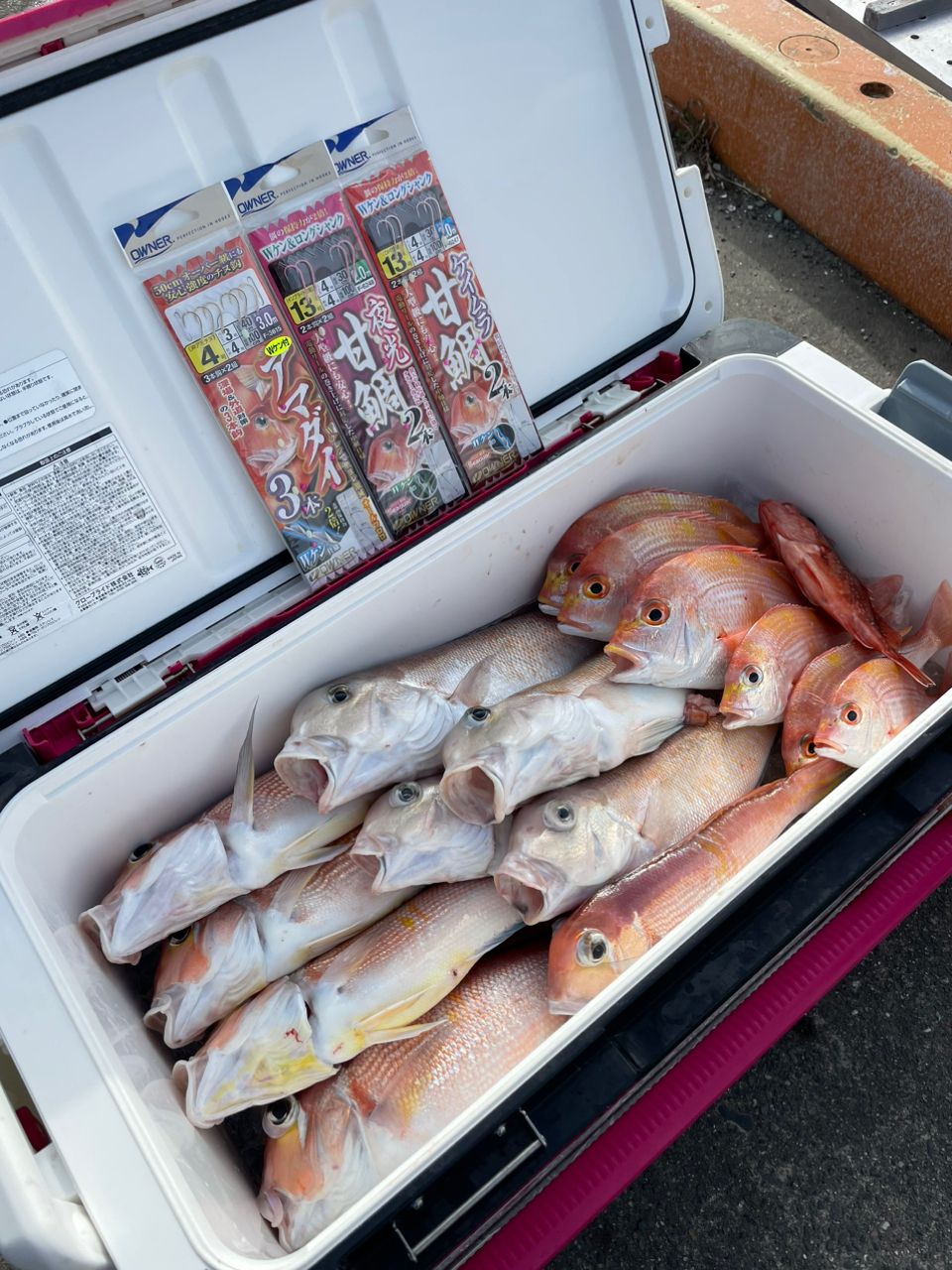 WH〜さんの釣果 1枚目の画像