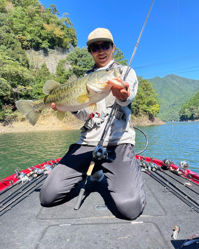 ブラックバスの釣果