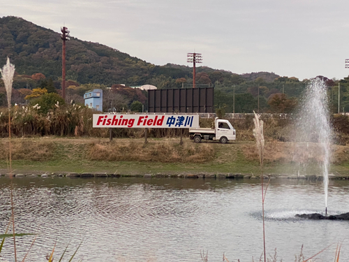 レインボートラウトの釣果