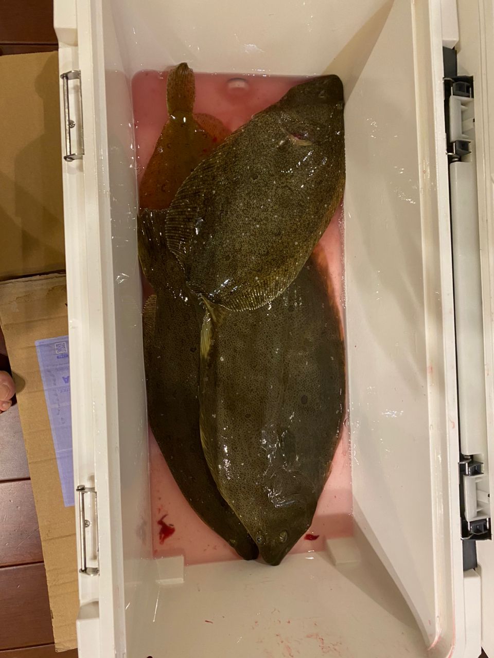 アングラー8022177さんの釣果 2枚目の画像